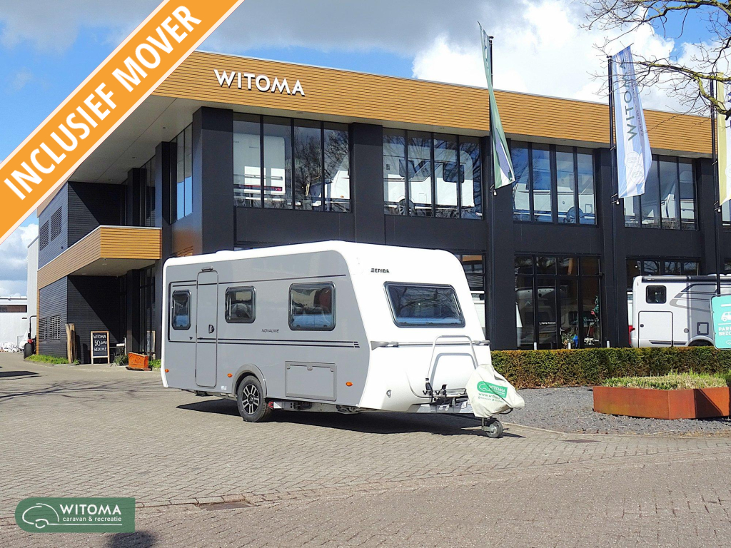 52845419
